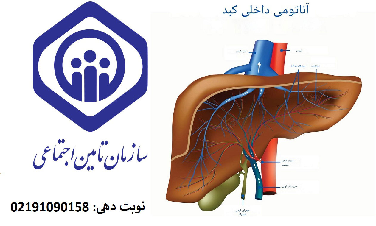 قیمت فیبرواسکن کبد در کلینیک خصوصی سعادت آباد